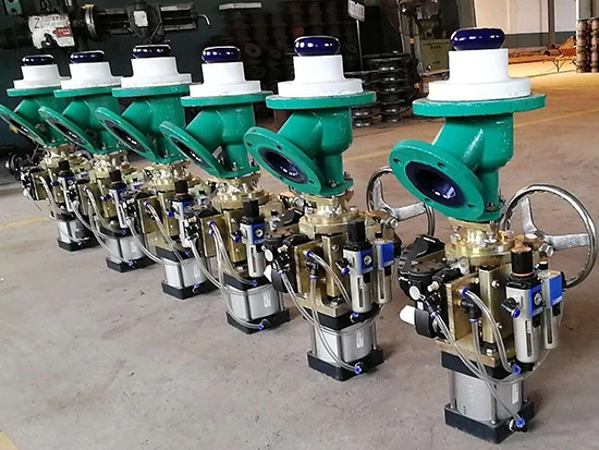 Glass Lined Flush Valve