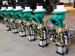 Glass Lined Flush Valve