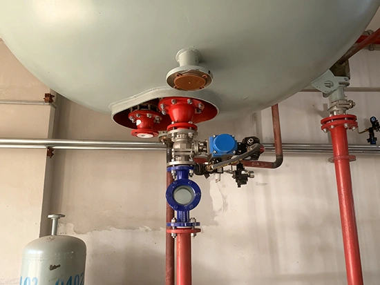 Glass Lined Flush Valve