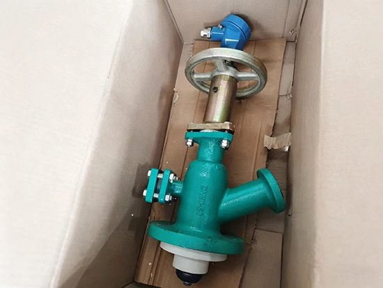 Glass Lined Flush Valve