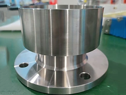 Mechanical Seal for Glass Lined Reactor