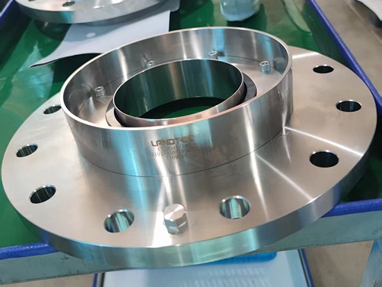 Mechanical Seal for Glass Lined Reactor