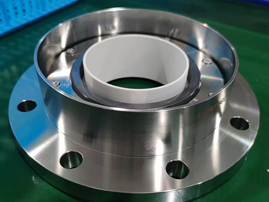 Mechanical Seal for Glass Lined Reactor
