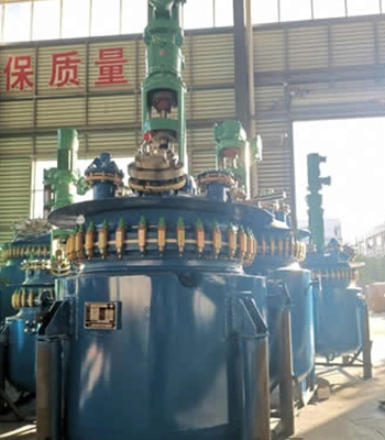 Reactor with non-standard head cover