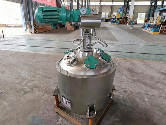 Stainless steel cladded glass lined reactor with integrated mechanical seal frame
